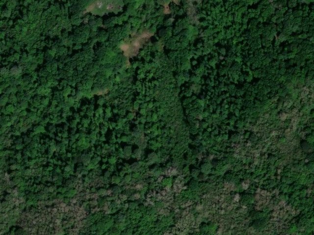 Grundstück 5755 m2, Cerovljani, Parzelle Nr. 503/117 - Satellitenbild