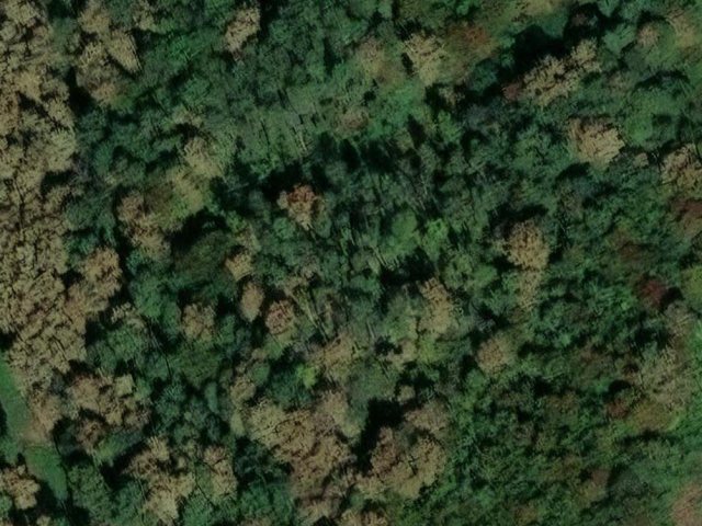 Zemljiste 3648 m2, Hrebinec, k.c. 3719 - satelitska snimka