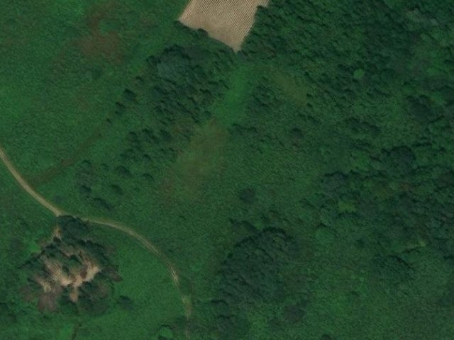 Land 3350 m2, Pisarovina I, parcel no. 1382 - satellite image