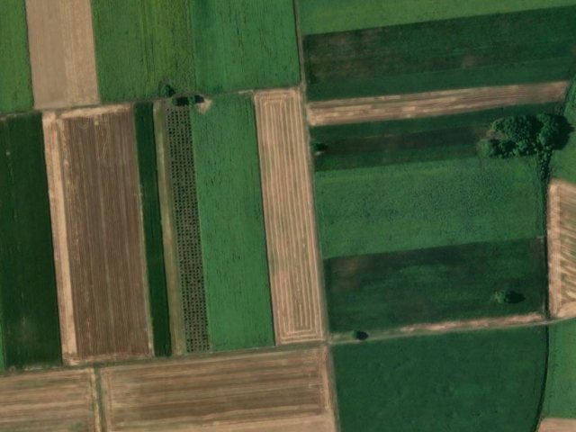 Grundstück 18518 m2, Srijemske Laze, Parzelle Nr. 134 - Satellitenbild