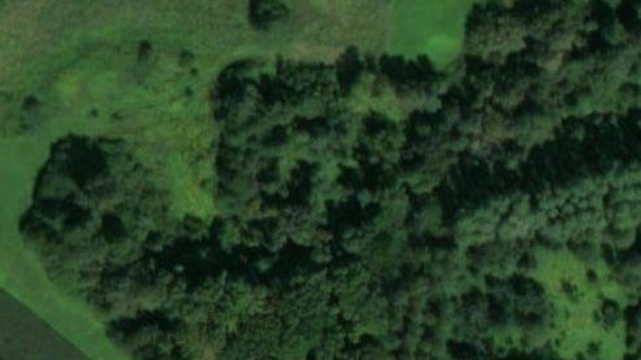 Land 1684 m2, Koprivnicki Ivanec, parcel no. 280 - satellite image of the parcel