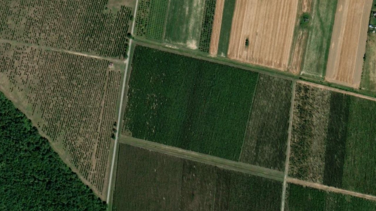 Grundstück 64743 m2, Trnjani, Parzelle Nr. 772 - Satellitenbild der Parzelle