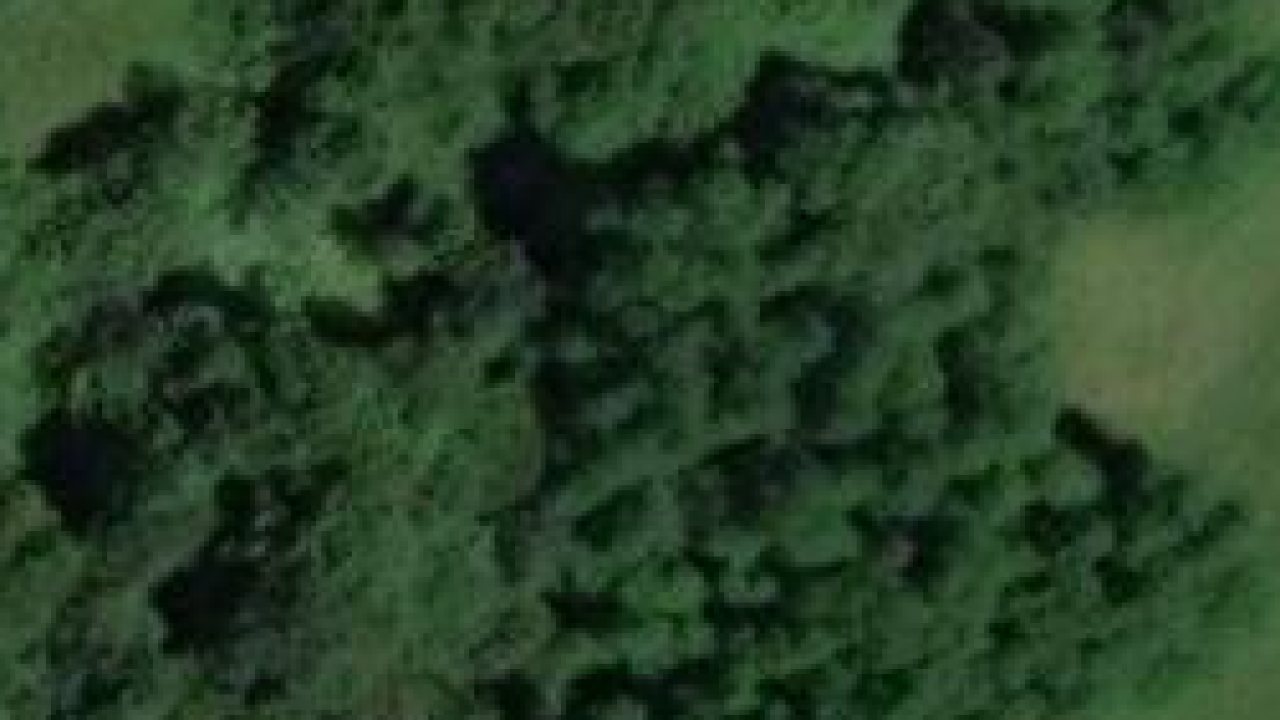 House 2775 m2, Bukovlje, parcel 1189 - satellite image of the parcel