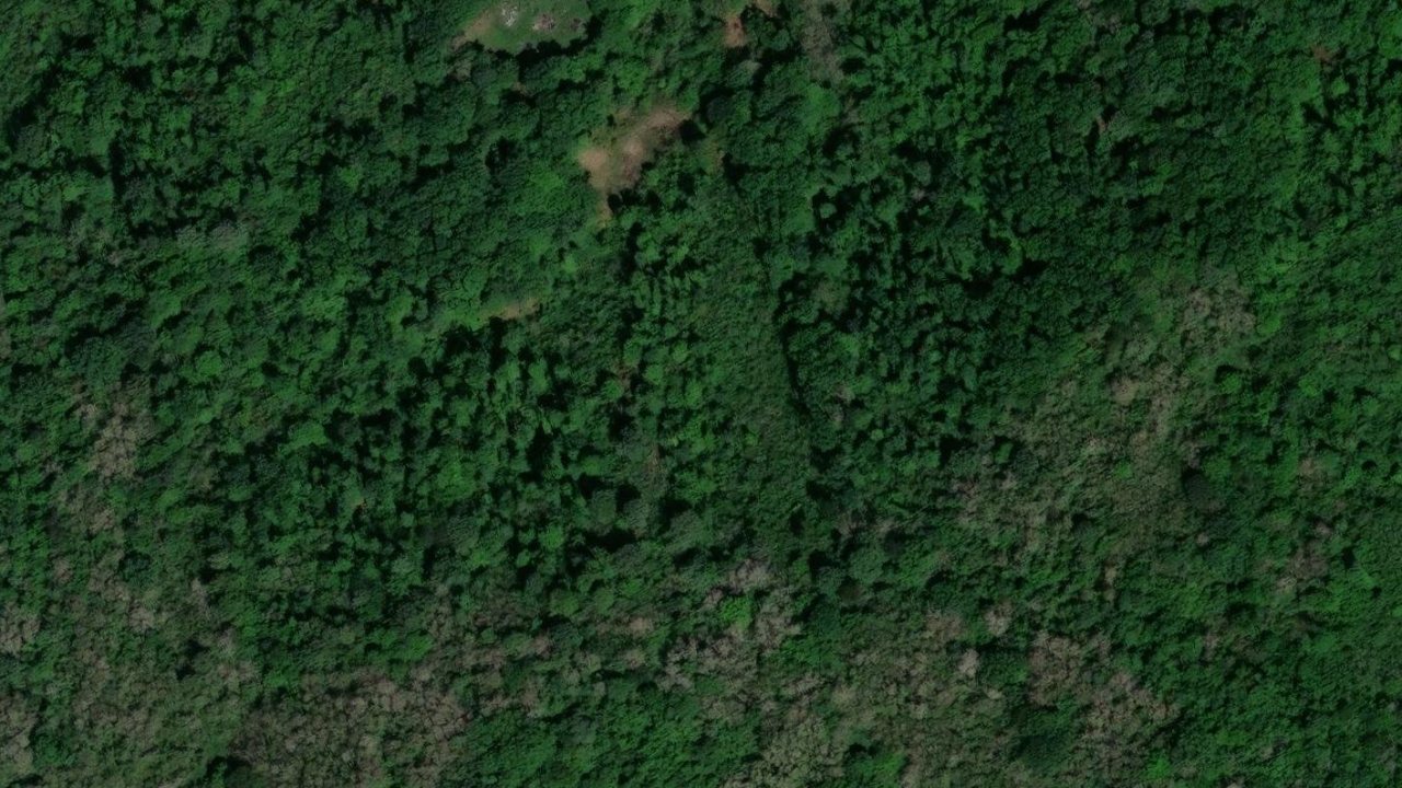 Grundstück 5755 m2, Cerovljani, Parzelle Nr. 503/117 - Satellitenbild der Parzelle