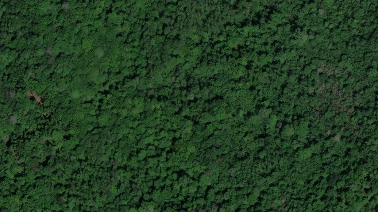 Land 12229 m2, Zivaja, parcel no. 1767/181 - satellite image of the parcel