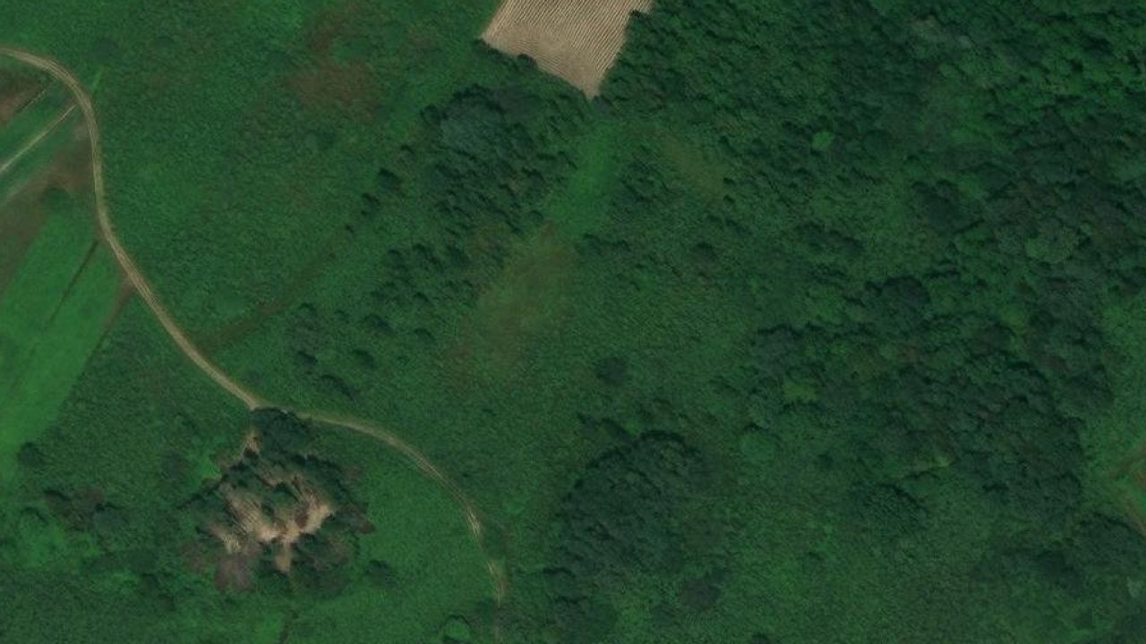 Land 3350 m2, Pisarovina I, parcel no. 1382 - satellite image of the parcel