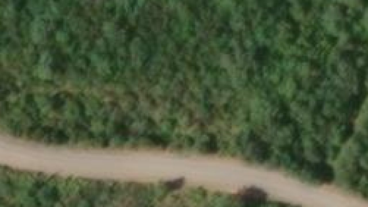 Grundstück 560 m2, Vodnjan, Parzelle Nr. 1051/74 - Satellitenbild der Parzelle