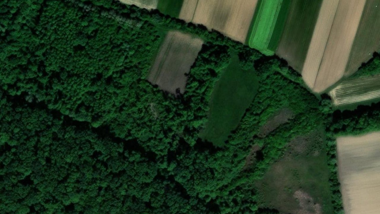 Grundstuck 4059 m2, Sasovac, Parzelle Nr. 435 - Satellitenbild der Parzelle
