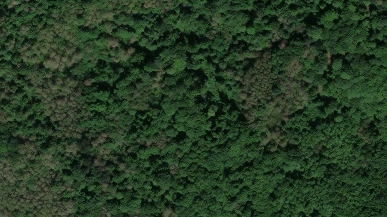 Grundstück 2338 m2, Brsljanica, Parzelle Nr. 848/57 - Satellitenbild der Parzelle