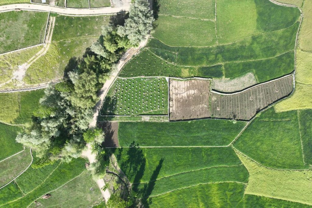 cadastral land parcel map with boundary lines, aerial view, no people
