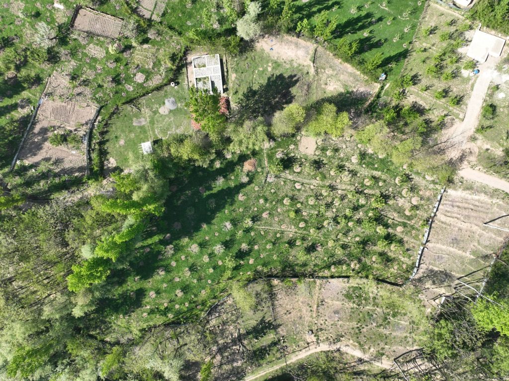 rural land plot boundary fence between two farm properties, aerial view